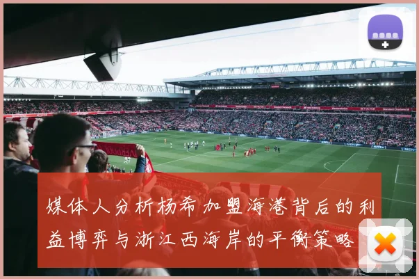 媒体人分析杨希加盟海港背后的利益博弈与浙江西海岸的平衡策略