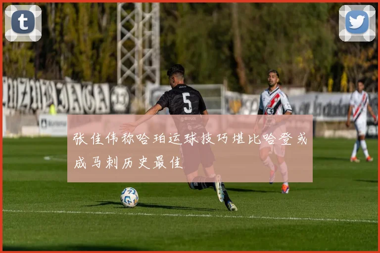 张佳伟称哈珀运球技巧堪比哈登或成马刺历史最佳