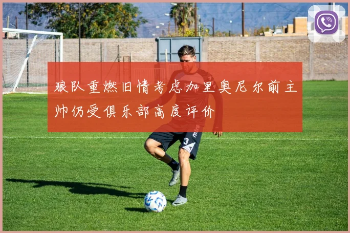 狼队重燃旧情考虑加里奥尼尔前主帅仍受俱乐部高度评价