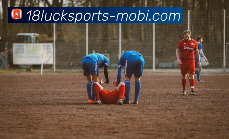 18新利体育服务体系